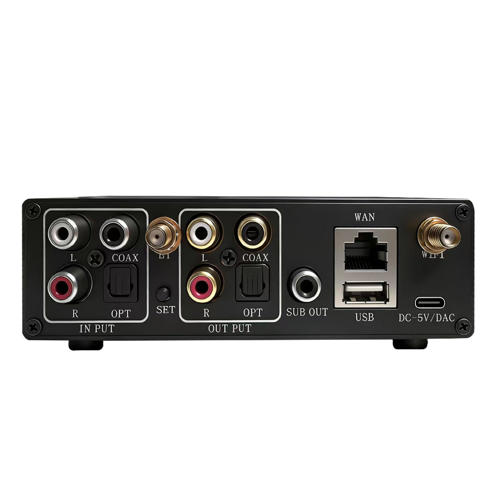 WR30 PRO WiFi Bluetooth Music  - Dac Streamer Network Player 评论和价格