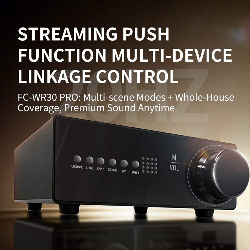 WR30 PRO WiFi Bluetooth Music  - Dac Streamer Network Player 评论和价格