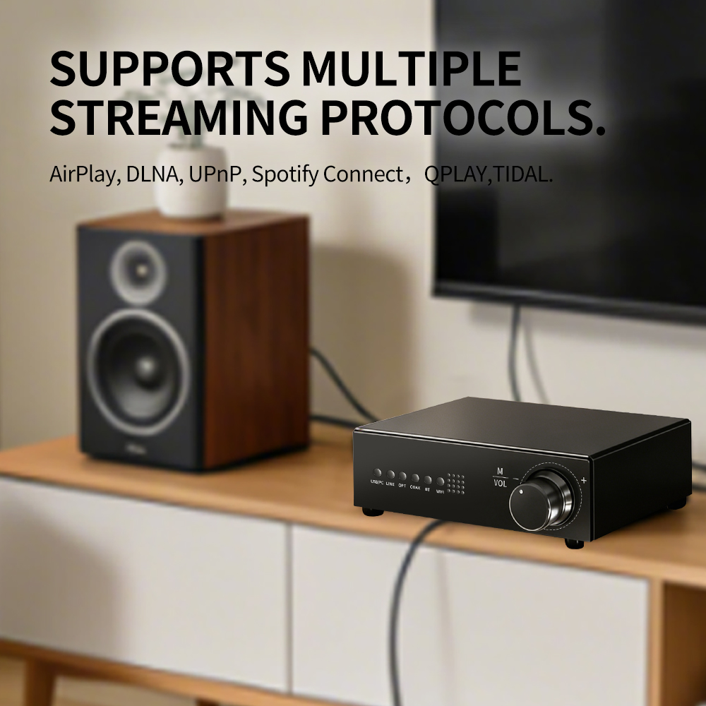 WR30 PRO WiFi Bluetooth Music  - Dac Streamer Network Player 评论和价格