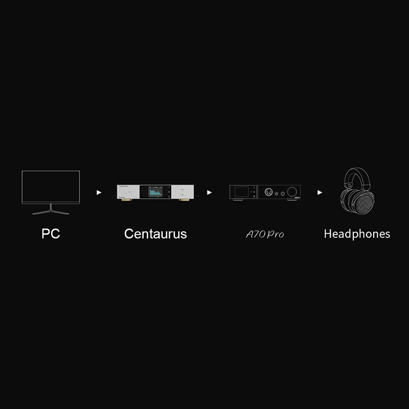 TOPPING Centaurus Desktop Full - R2R Dac Balanced Xlr 评论和价格